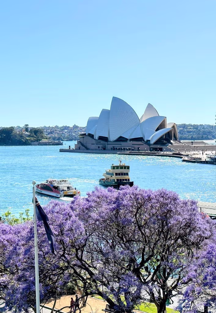 Sydney Private Tour - 