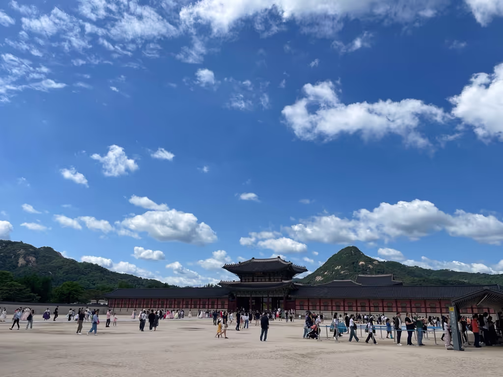 Seoul Private Tour - A view of Gyeongbok palace