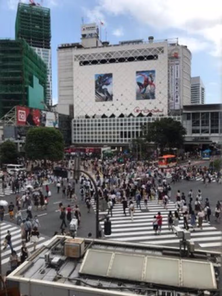 Tokyo Private Tour - Zebra crossing at Shibuya.
.