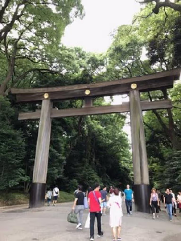 Tokyo Private Tour - Torii gate of Meiji Shinto shrine