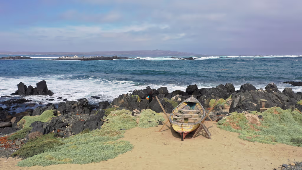 La Serena Private Tour - 