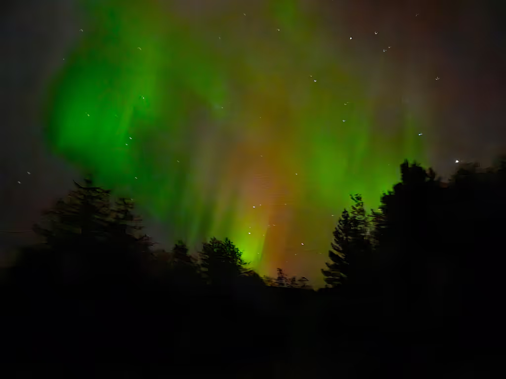 Reykjavik Private Tour - Northern Lights tour