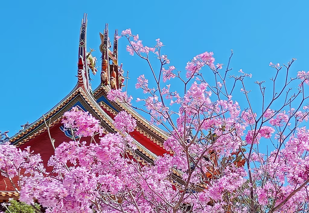 Tainan Private Tour - 