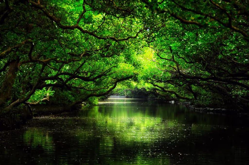 Tainan Private Tour - 