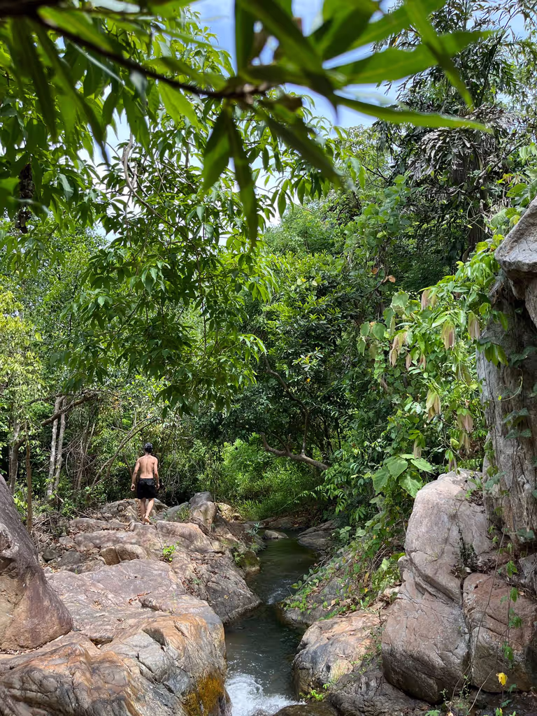 Da Nang Private Tour - Hidden stream