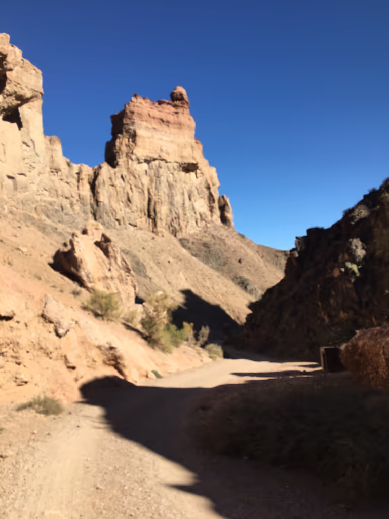 Almaty City Private Tour - 