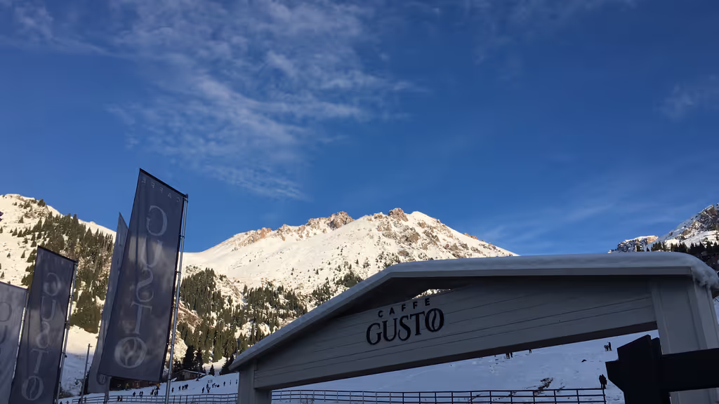 Almaty City Private Tour - 