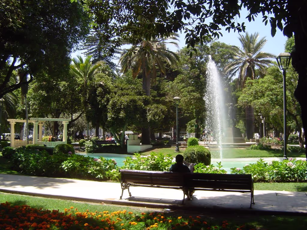 Valparaiso Private Tour - Vergara Square. Viña del Mar