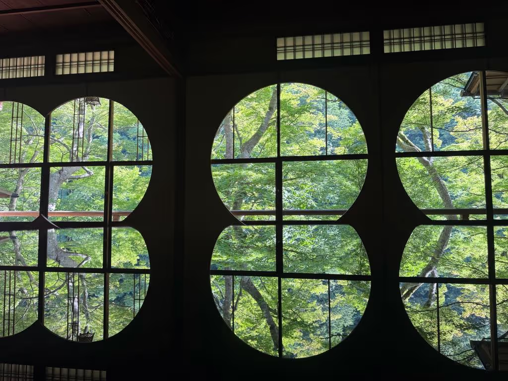 Osaka Private Tour - Where Kyoto whispers its secret in light and shadow