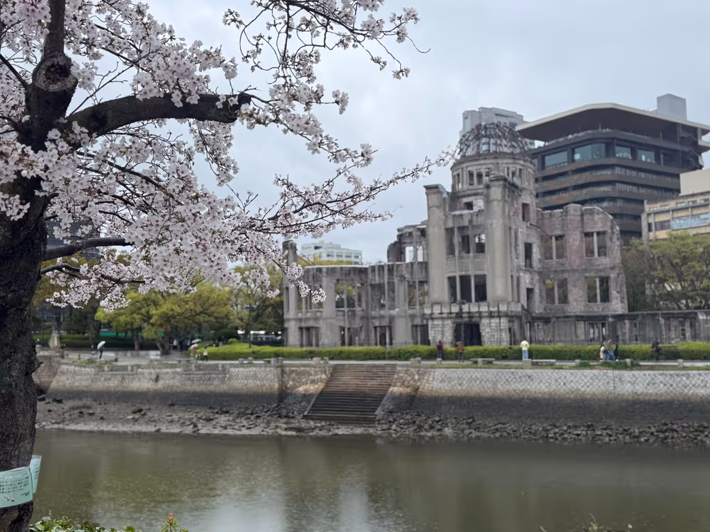 Hiroshima Private Tour - Cherry blossoms beside the Atomic Bomb Dome