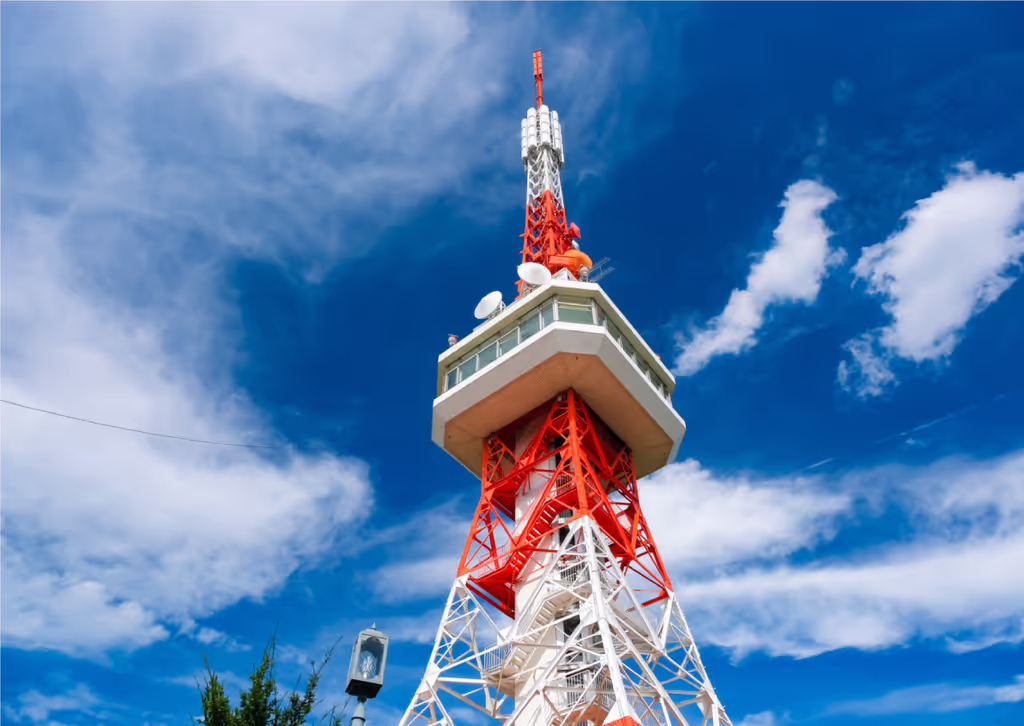 Tochigi Private Tour - Utsunomiya tower