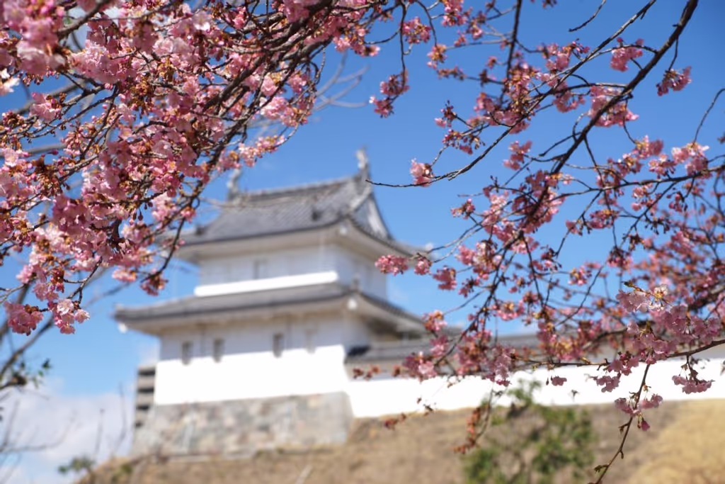 Tochigi Private Tour - Utsunomiya castle