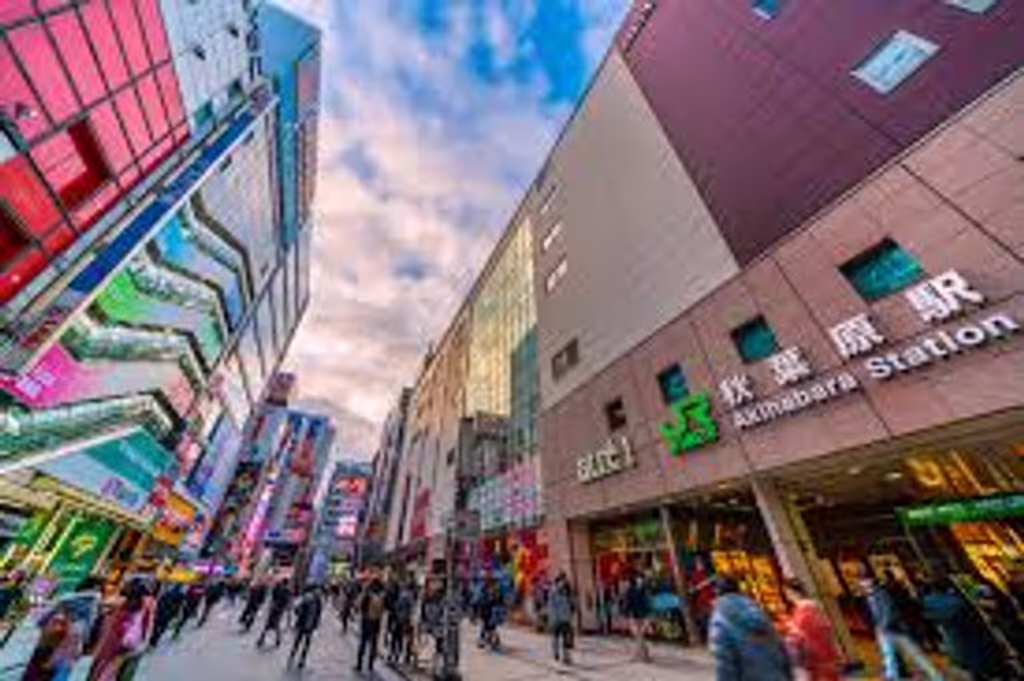 Tochigi Private Tour - Akibahara