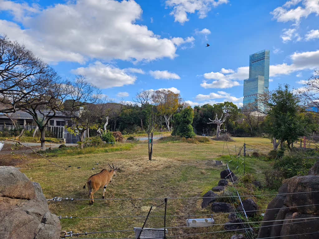 Osaka Private Tour - Tennoji Zoo-A mix of wildlife and modern architecture.