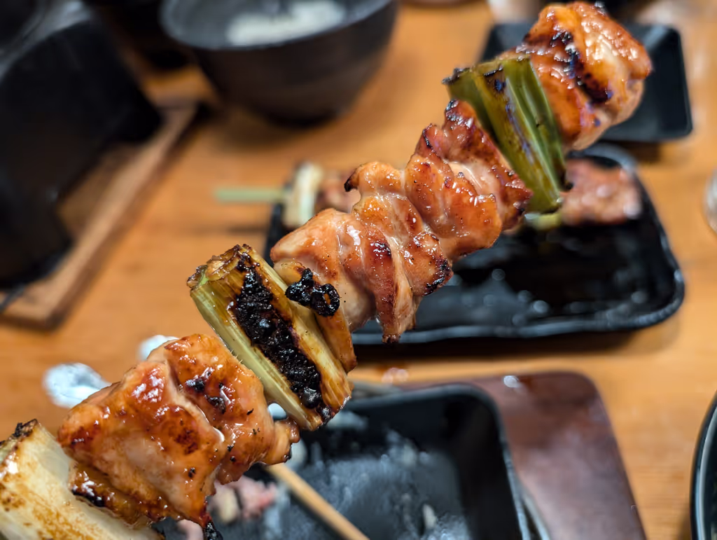 Osaka Private Tour - You’ve got to try Torikizoku!