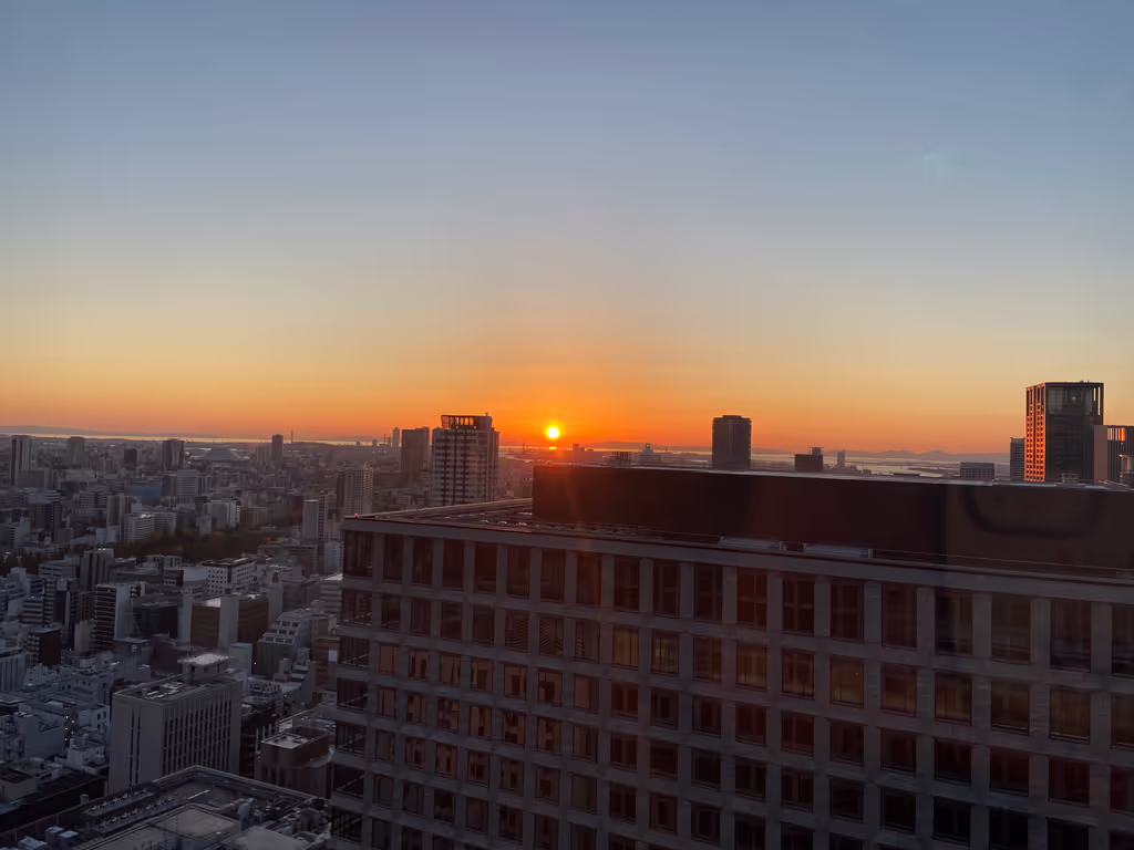 Osaka Private Tour - Yodoyabashi