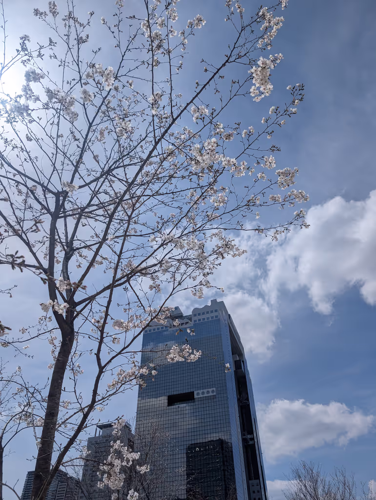 Osaka Private Tour - Sakura 