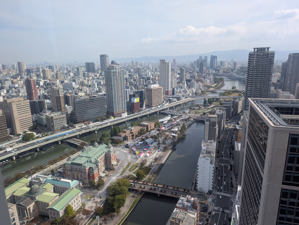 Osaka Private Tour - Yodoyabashi