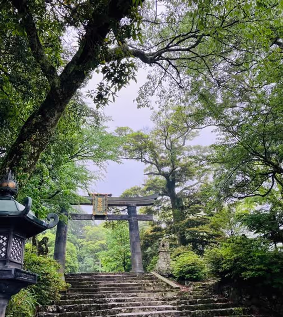 Oita Private Tour - 