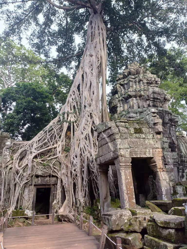 Siem Reap Private Tour - unique temple in cambodia siem reap