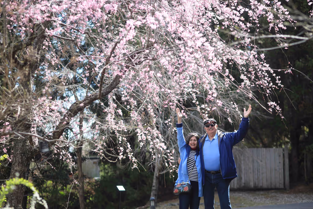 Kochi Private Tour - C-Makino Botanical Garden
