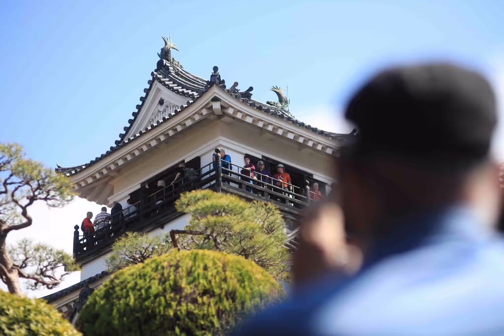Kochi Private Tour - C-Kochi Castle