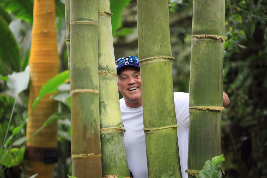 Kochi Private Tour - C-Makino Botanical Garden
