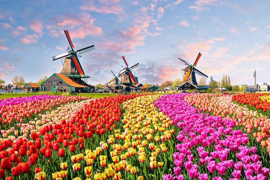 North Holland Private Tour - Zaanse Schans Countryside