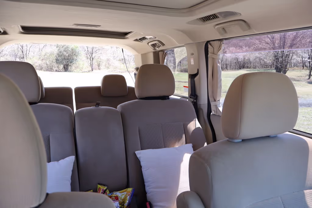 Yamanashi Private Tour - This is my vehicle's inside. It fit for 6 people  