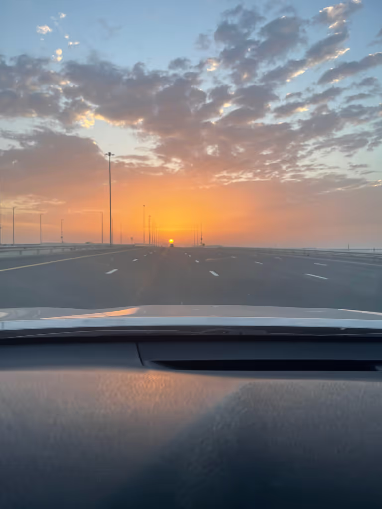 Abu Dhabi Private Tour - Yas island 