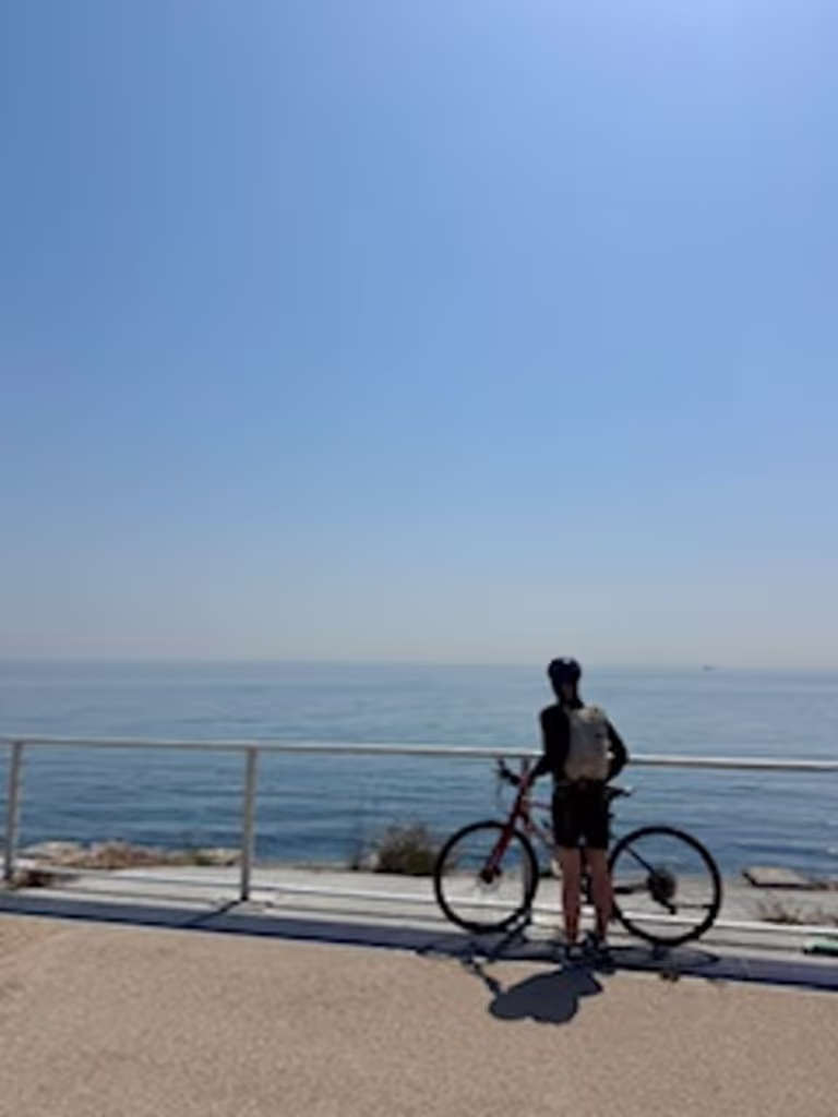 Osaka Private Tour - Awaji island
