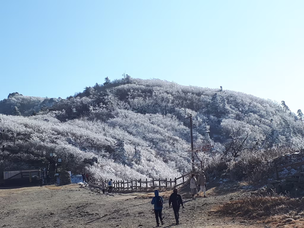 Seoul Private Tour - Korean mountains in winter