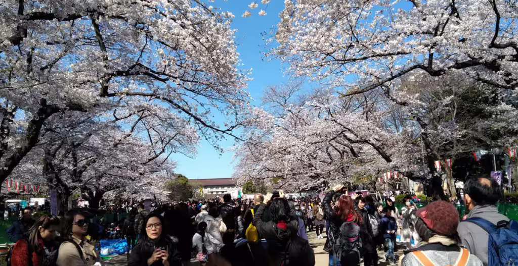 Ibaraki Private Tour - 