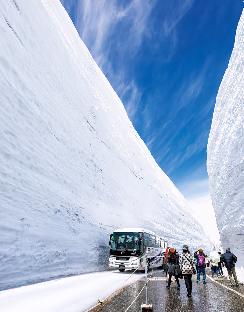 Toyama Private Tour - Tateyama Snow Wall 