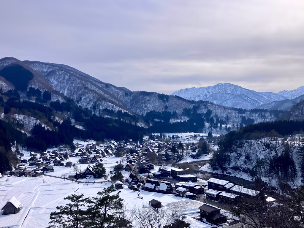 Toyama Private Tour - Shirakawa-go Winter