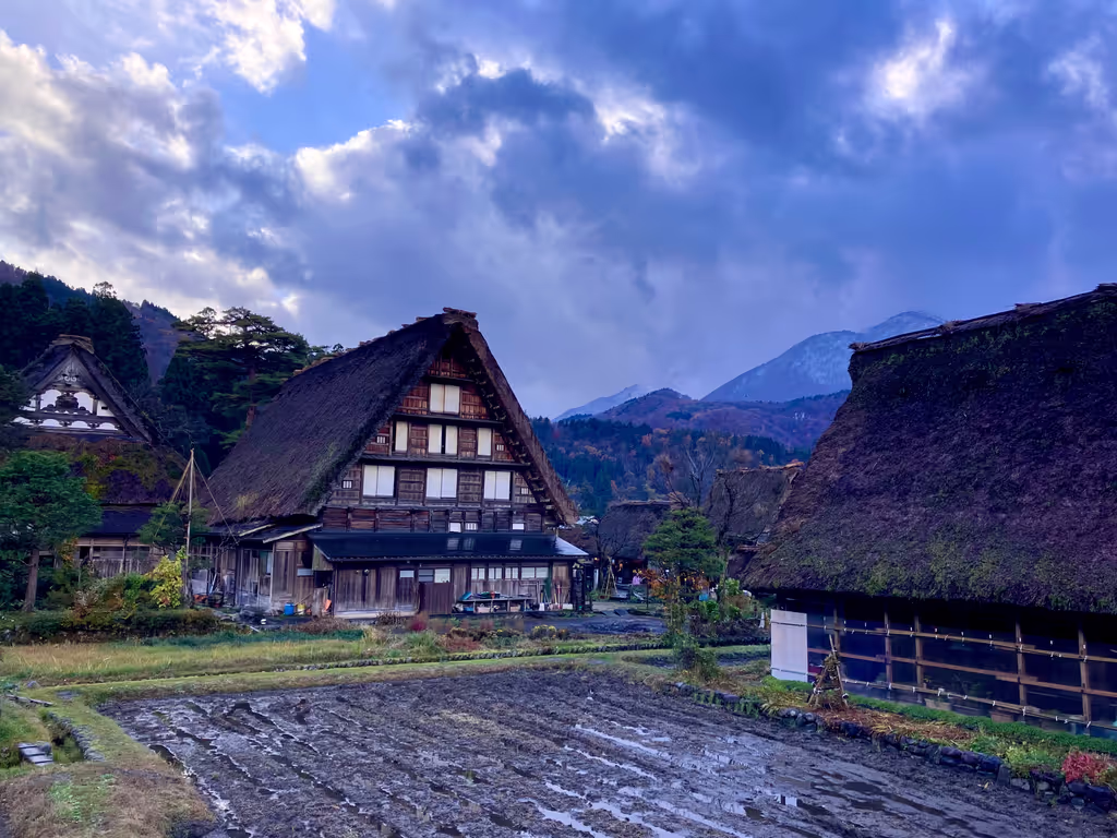 Toyama Private Tour - Shirakawa-go Fall