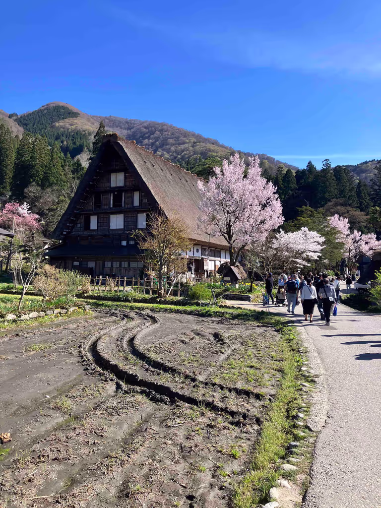Toyama Private Tour - Shirakawa-go Spring