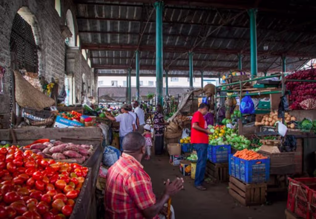 Nairobi Private Tour - 
