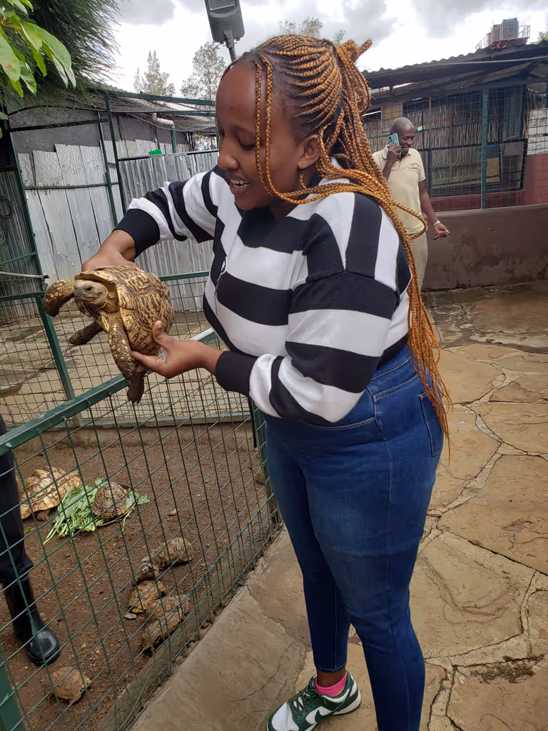 Nairobi Private Tour - 