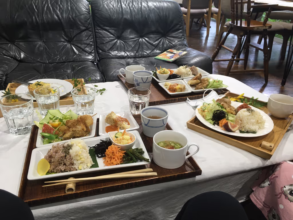 Miyazaki Private Tour - Local lunch set