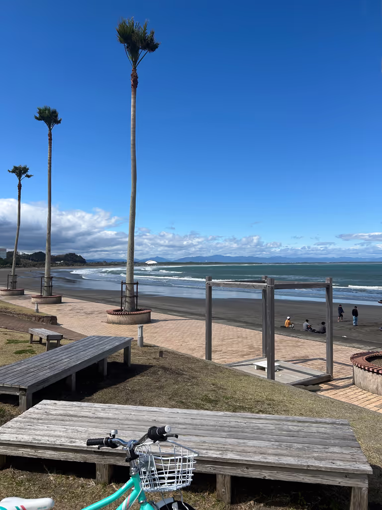 Miyazaki Private Tour - Aoshima beach 