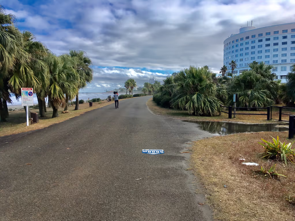 Miyazaki Private Tour - Coastal path