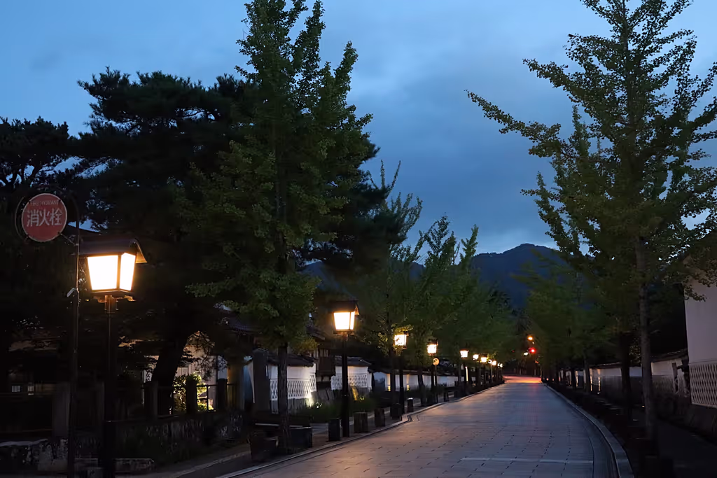 Shimane Private Tour - Tonomachi at night