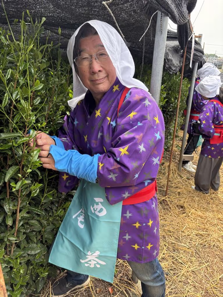 Aichi Private Tour - Matcha leaves pikcking experience in Nisihio (Aichi)