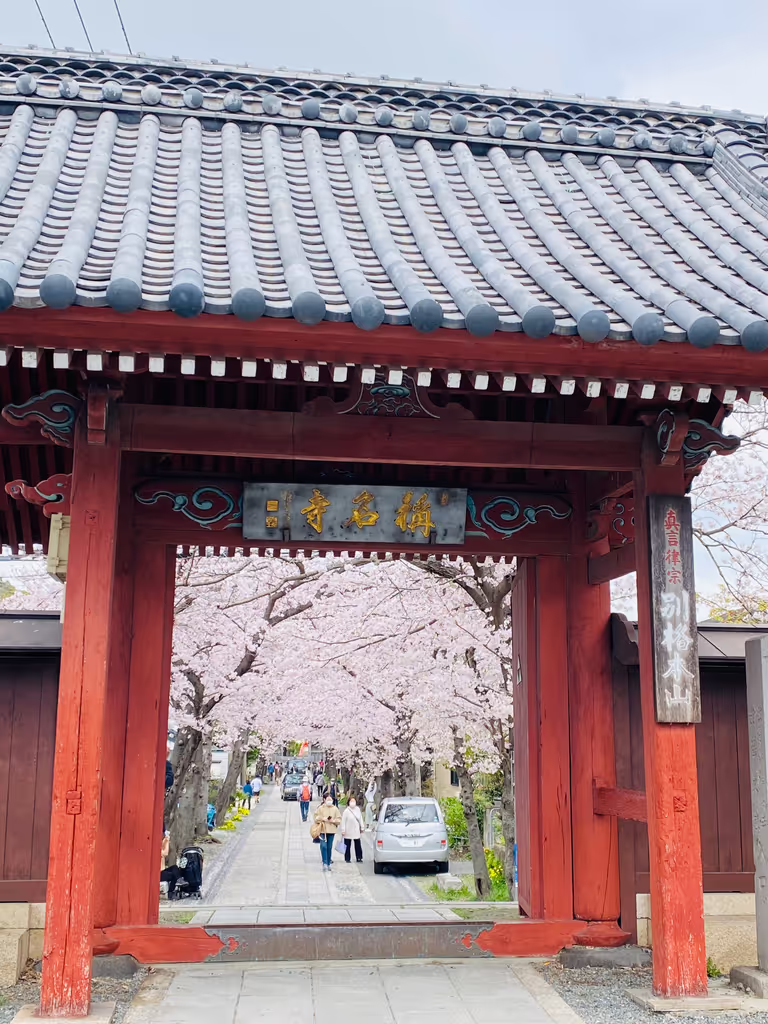 Kanagawa Private Tour - Der Shomyo-ji-Tempel im Frühling