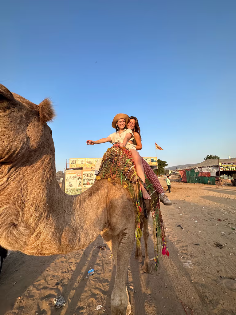Jaipur Private Tour - Client Enjoying trips