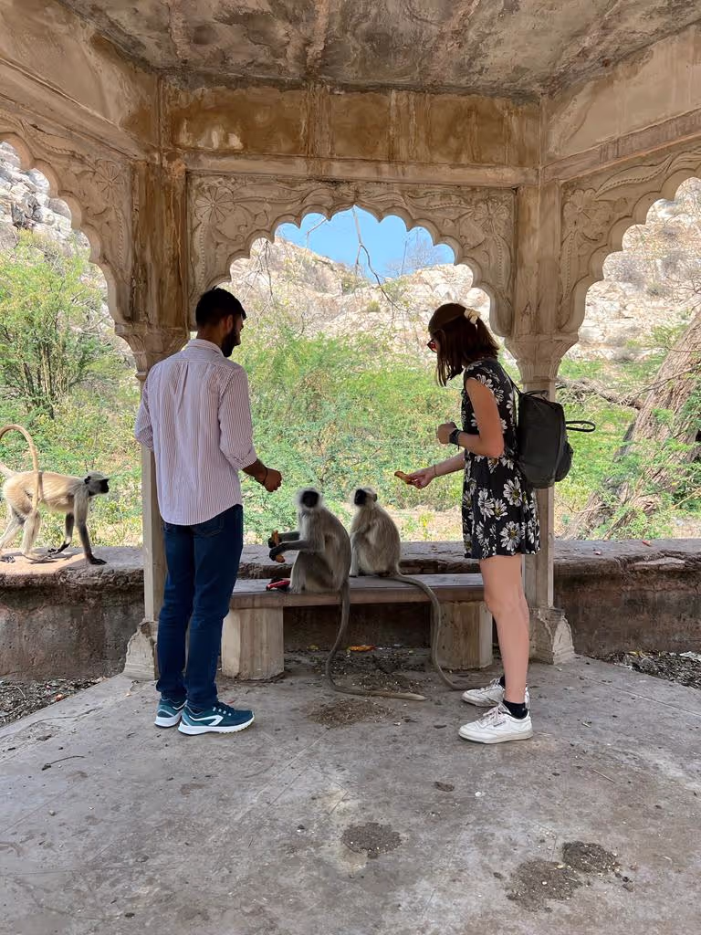 Jaipur Private Tour - Feeding Monkeys in jaipur 