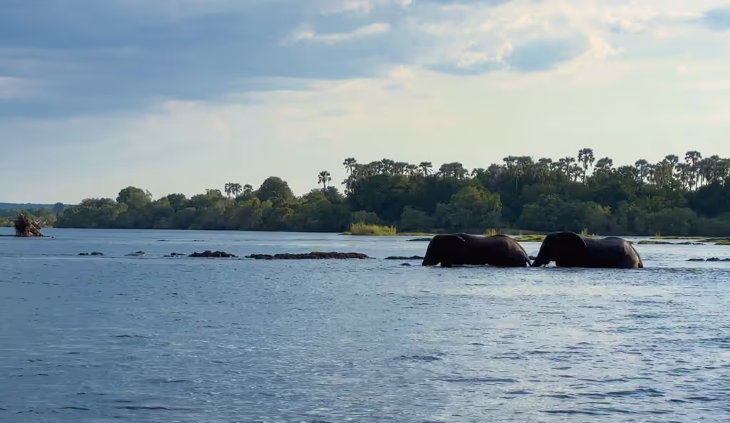 Matabeleland North Private Tour - 