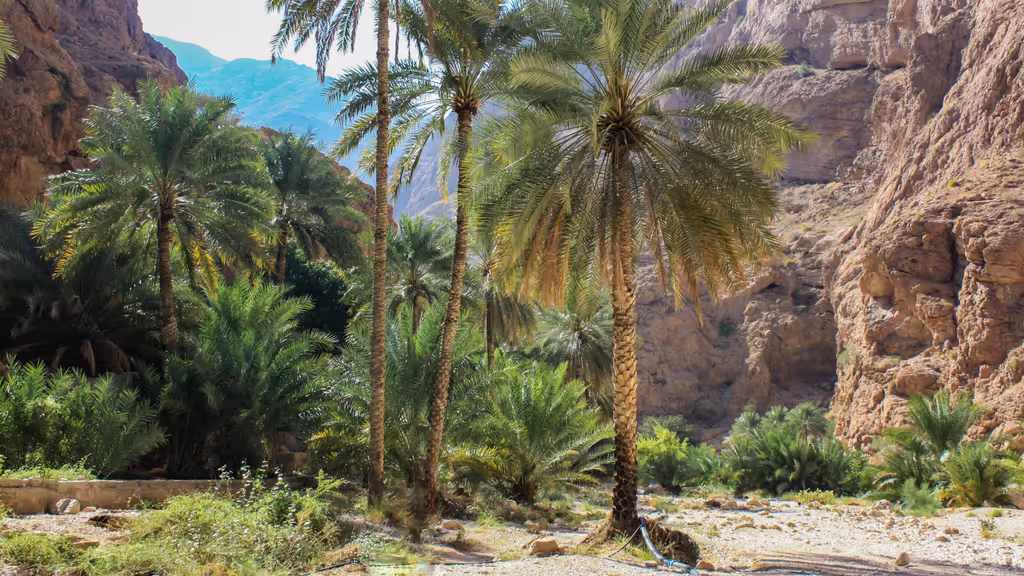 Muscat Private Tour - 
