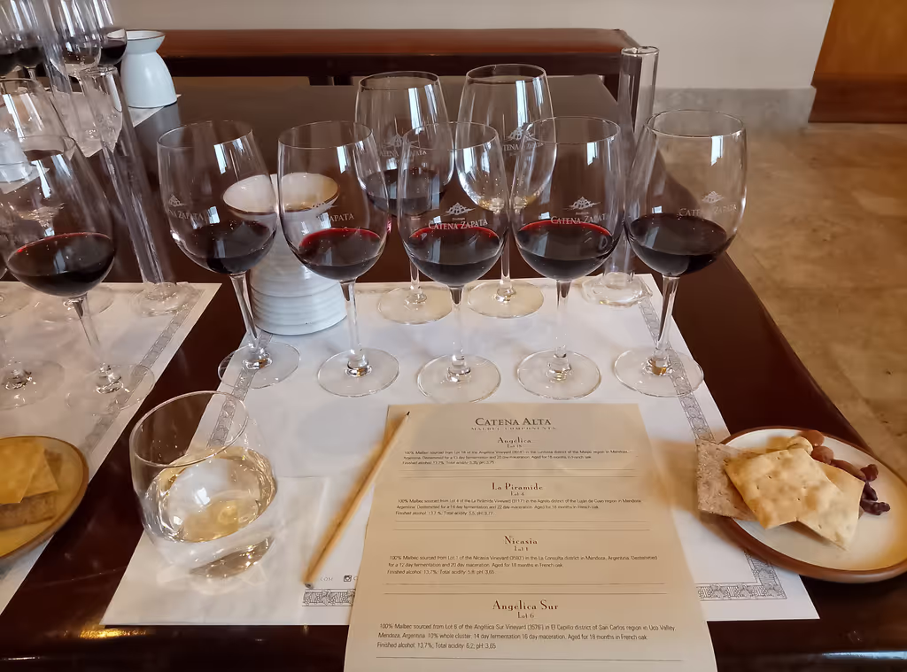 Mendoza Private Tour - 